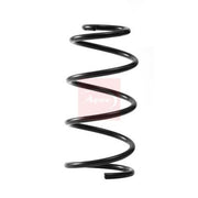 Apec Front Suspension Coil Spring ACS2399