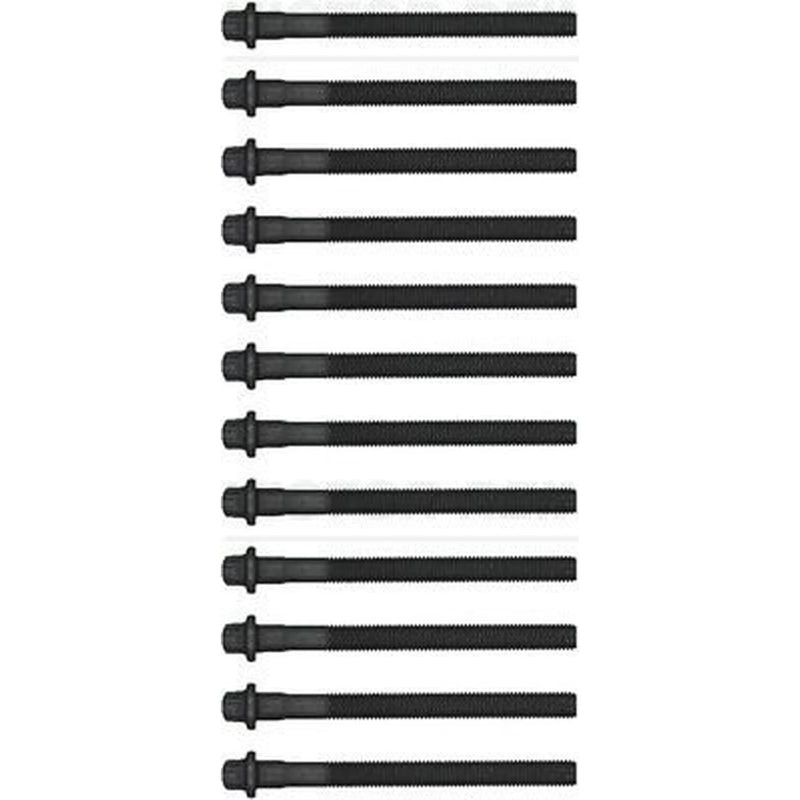 Victor Reinz Cylinder Head Bolt Set M10 14-12256-01