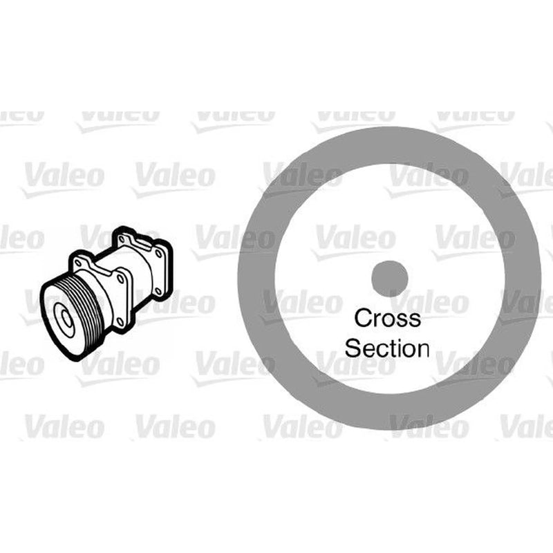 Valeo A/C O'Ring - Bag Per 20 508988 508988