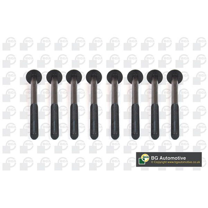 BGA Cylinder Head Bolt Set M12 BK5930