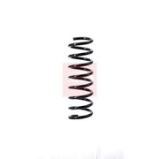 Apec 2 x Suspension Springs ACS1375