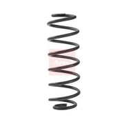 Apec Rear Suspension Coil Spring ACS2448