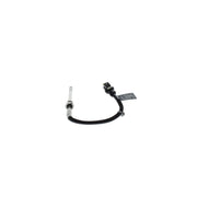 Bosch Exhaust Gas Temperature Sensor before soot 0 986 259 183