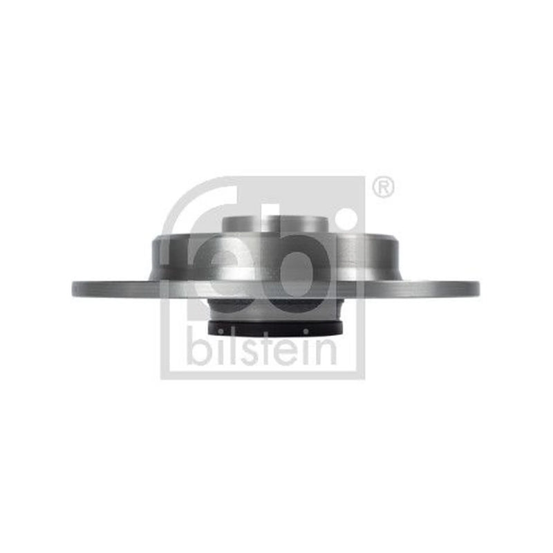 Febi 2 x Solid Rear Brake Discs 106351