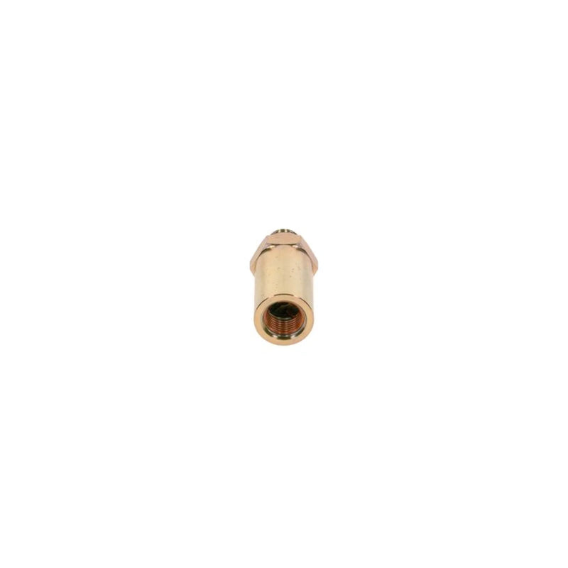 Bosch Fuel Injection Control Valve 2 417 413 098
