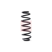 Apec Rear Suspension Coil Spring ACS1743