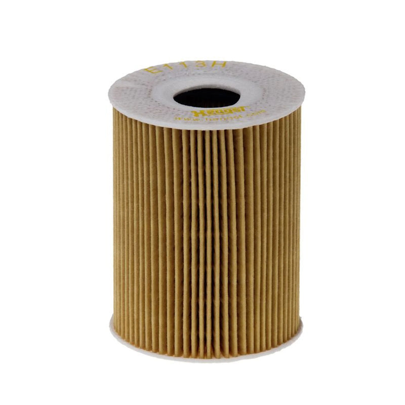 Hengst Engine Oil Filter E113H D235