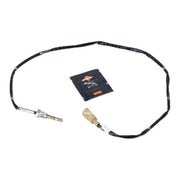 NRF Exhaust Gas Temperature Sensor after soot particul 707113