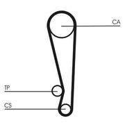 Continental CTAM Timing Belt Kit with Rollers CT1024K1
