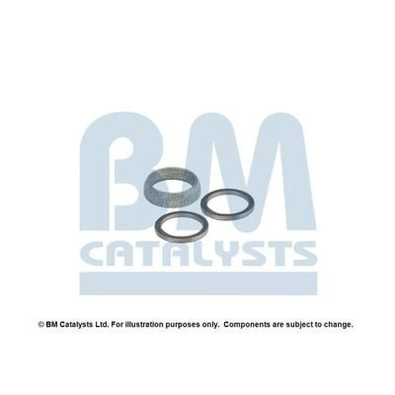 BM Catalysts Fitting Kit FK91053A FK91053A