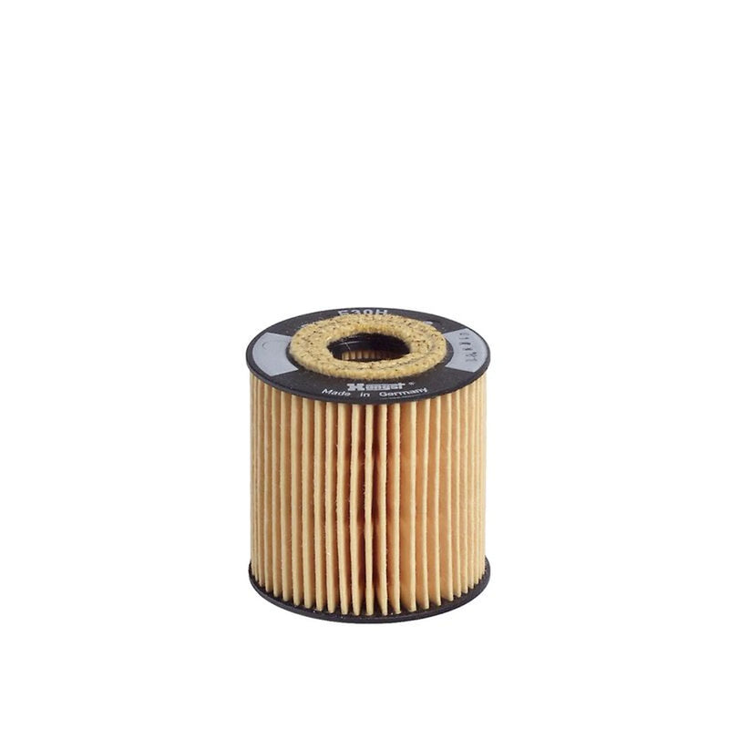 Hengst Engine Oil Filter E30H D51