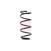 Apec Front Suspension Coil Spring ACS1403