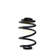 NAPA Rear Suspension Coil Spring NCS2001