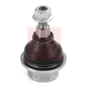 Apec Ball Joint Front Right AST0159