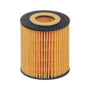 Hengst Engine Oil Filter E29H D89