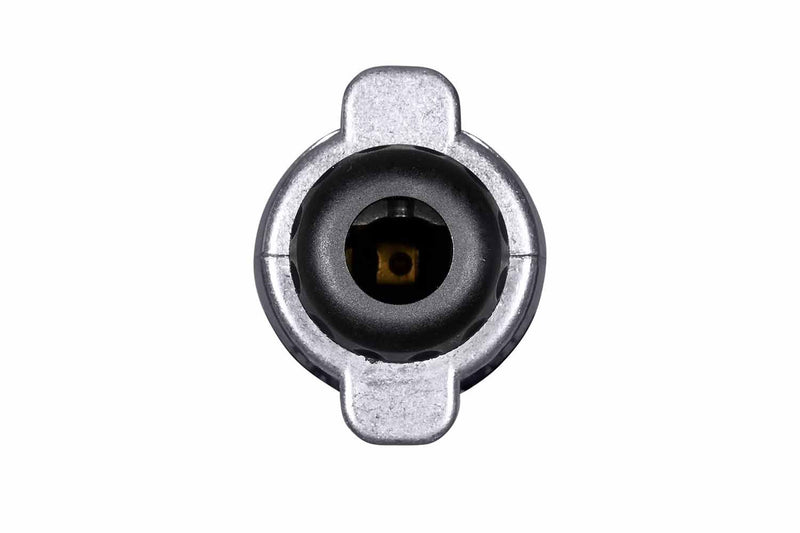 Hella 8JA 001 918-011 Plug