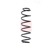 Apec Front & Rear Suspension Springs ACS1534