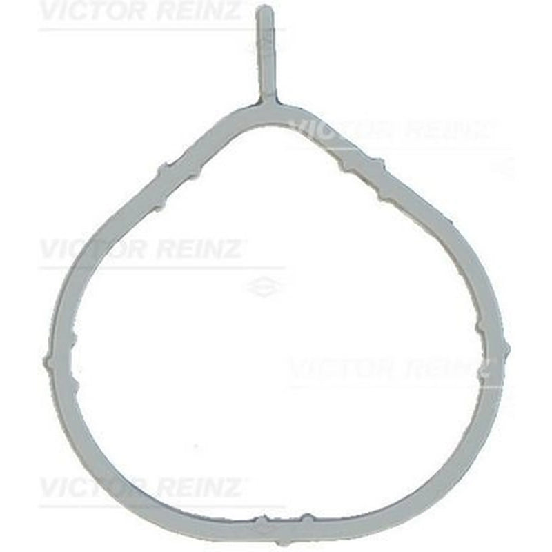Victor Reinz Intake Manifold Gasket Thick FPM (fluoride r 71-17066-00
