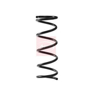 Apec 2 x Suspension Springs ACS2343