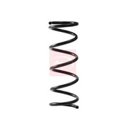 Apec Rear Suspension Coil Spring ACS2343