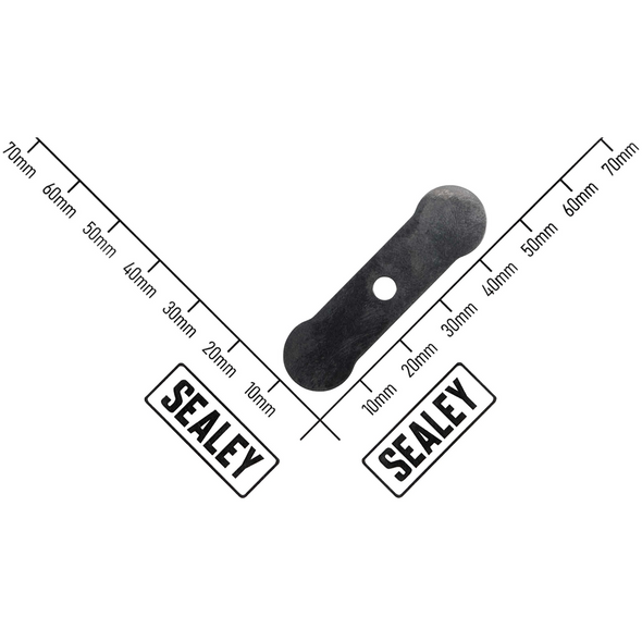 Sealey Valve Reed
