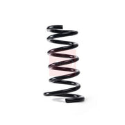Apec Rear Suspension Coil Spring ACS1753