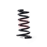 Apec 2 x Suspension Springs ACS1753