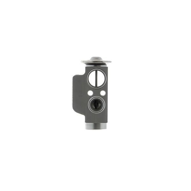 Mahle Air Conditioning Expansion Valve AVE 71 000P