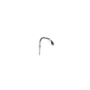 NRF Exhaust Gas Temperature Sensor before soot partic 707151