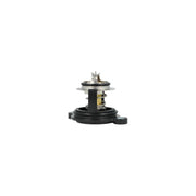 NRF Thermostat,Coolant 725379