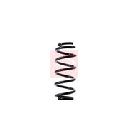 Apec Rear Suspension Coil Spring ACS1539