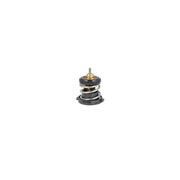 NRF Thermostat,Coolant 725225