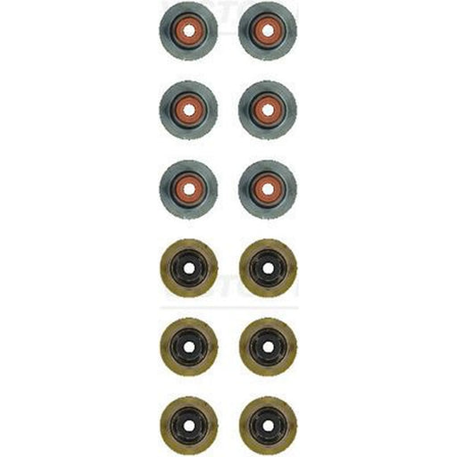 Victor Reinz Valve Stem Seal Set ID High 12-21042-01