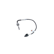 NRF Exhaust Gas Temperature Sensor before soot partic 707095