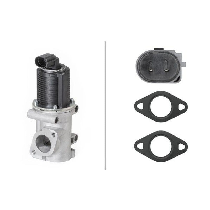 Hella Exhaust Gas Recirculation Valve 6NU 010 171-541