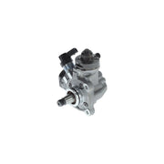Bosch High Pressure Fuel Pump 0 445 010 813