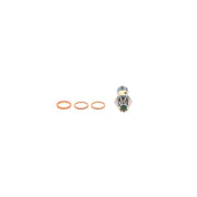 Bosch Fuel Pump Repair Kit 1 587 010 532