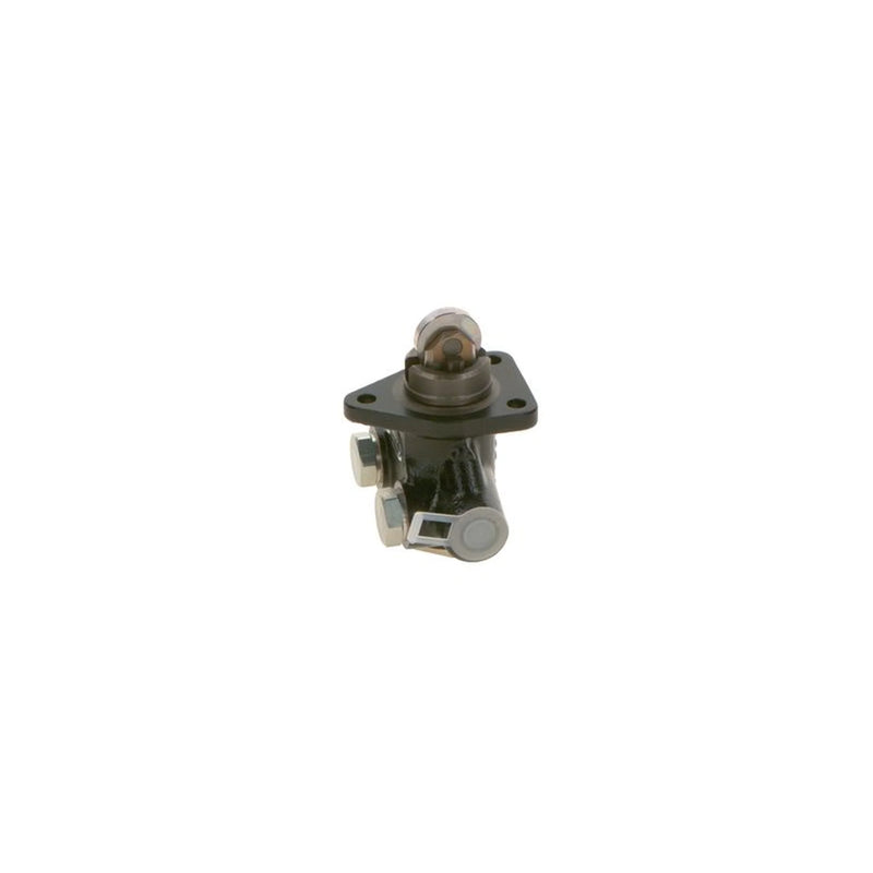 Bosch Fuel Pump Assembly 0 440 008 065