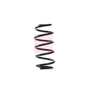 Apec Front Suspension Coil Spring ACS1774