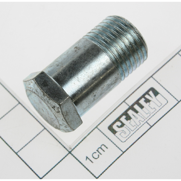 Sealey Check valve