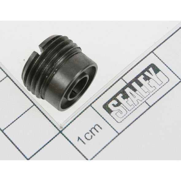 Sealey Bolt check valve