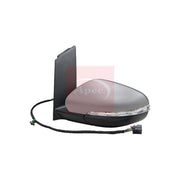 Apec Door / Wing Mirror Right AMR3308