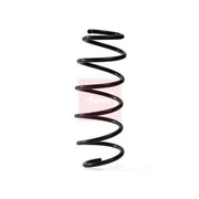 Apec Rear Suspension Coil Spring ACS1981