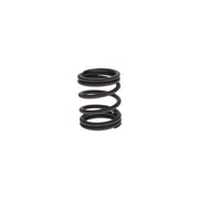 Bosch Compression Spring 2 424 618 050