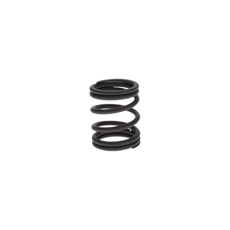 Bosch Compression Spring 2 424 618 050