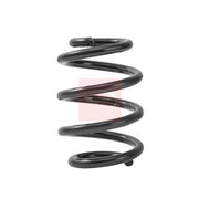 Apec Rear Suspension Coil Spring ACS2463