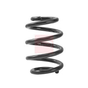 Apec 2 x Suspension Springs ACS2463
