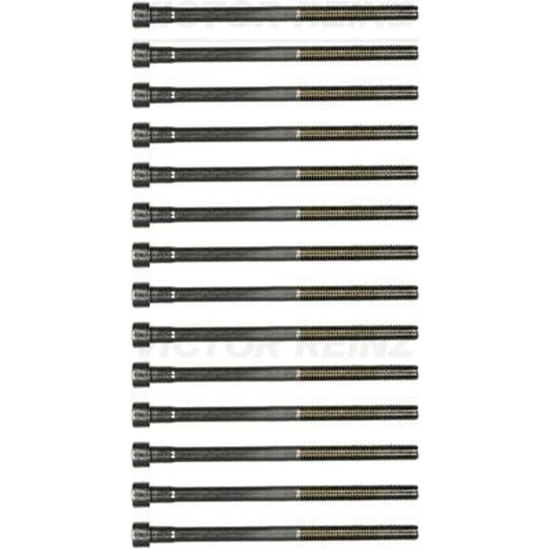 Victor Reinz Cylinder Head Bolt Set M12 14-32187-01
