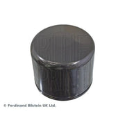 Blue Print Engine Oil Filter ADF122114