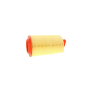 Bosch Engine Air Filter 1 987 429 401